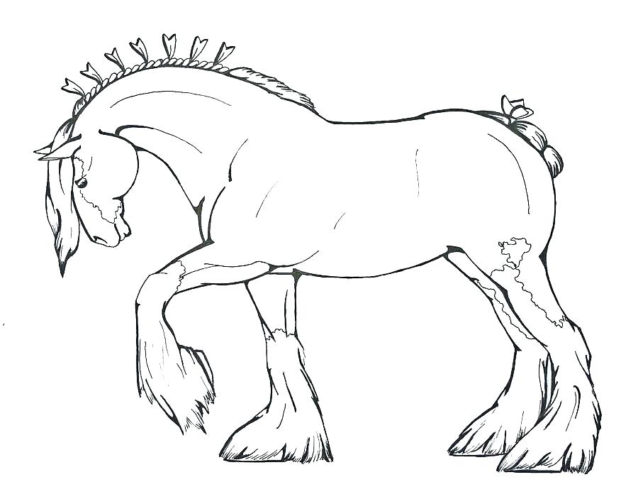 900x710 Coloring Pages Horses Printable Coloring Page Of Horse Simple