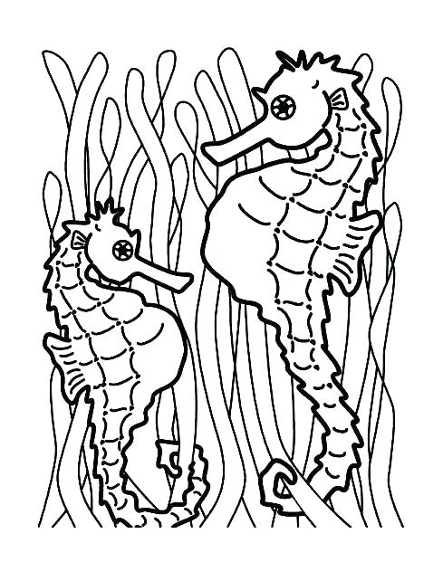489x632 Sea Horse Coloring Pages Free Coloring Seahorse Mandala Coloring
