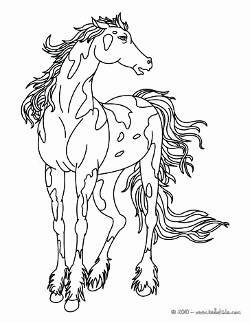 364x470 Coloring Pages For Horses Horse Coloring Pages Beautiful Horse