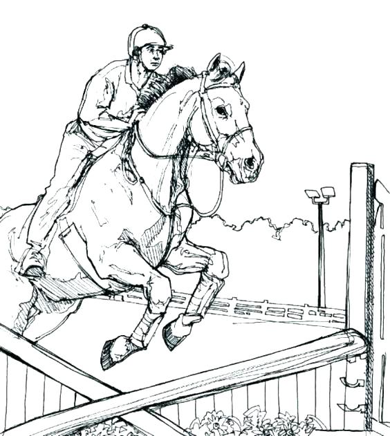 564x631 Free Horse Jumping Coloring Pages