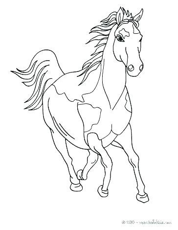 364x470 Breyer Coloring Pages Horse Coloring Pages Coloring Pages Horse
