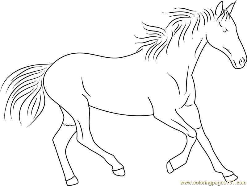 800x603 Horse Running Coloring Page