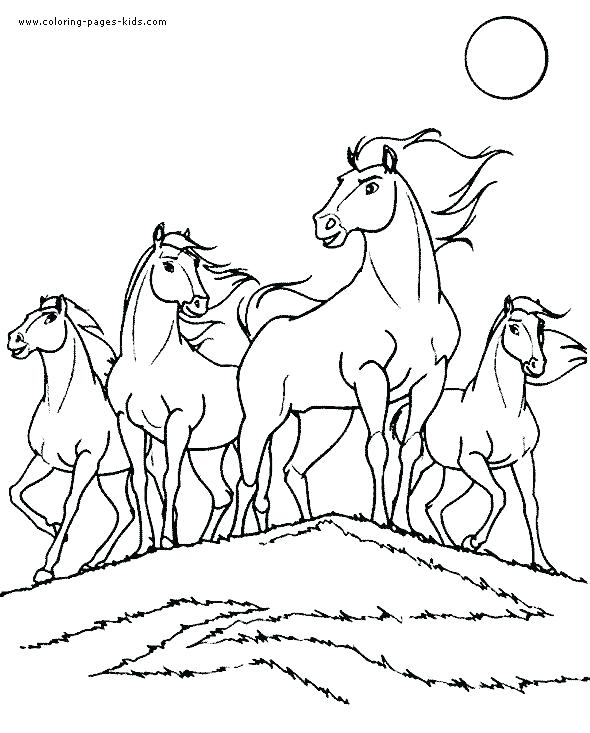 590x733 Horses Coloring Pages Coloring Pages Wild Horse Horse Colouring