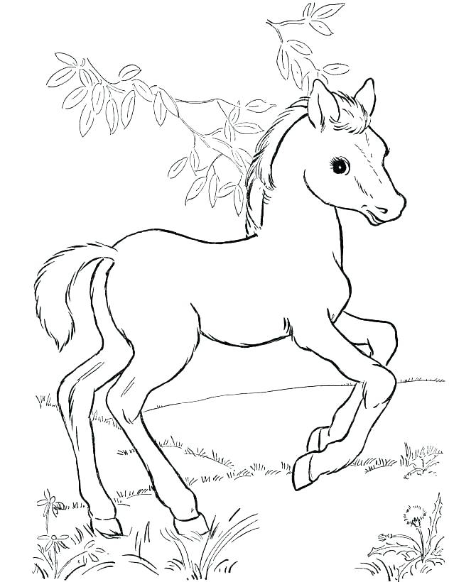 670x820 Running Coloring Pages Running Horse Coloring Pages Realistic