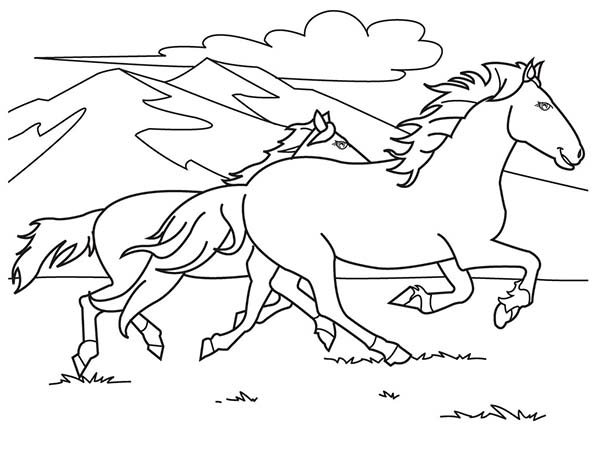 600x450 Two Horses Running On The Hill Coloring Page