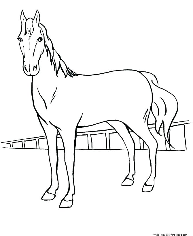 670x820 Realistic Horse Coloring Pages To Print