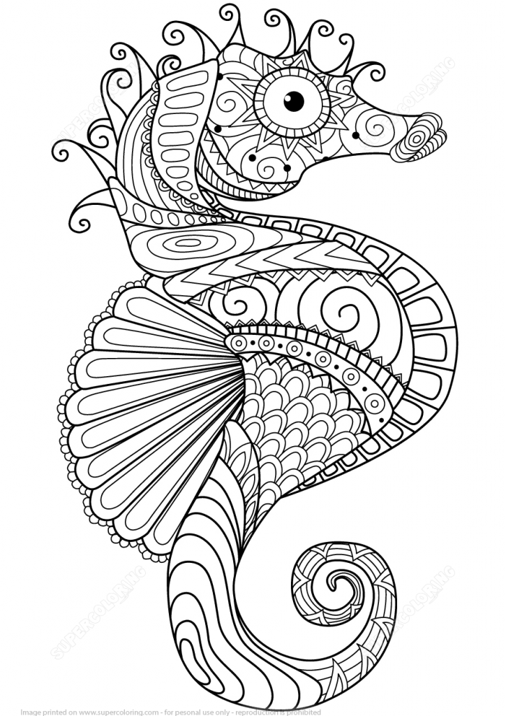 725x1024 Sea Horse Design Zentangle Coloring Page