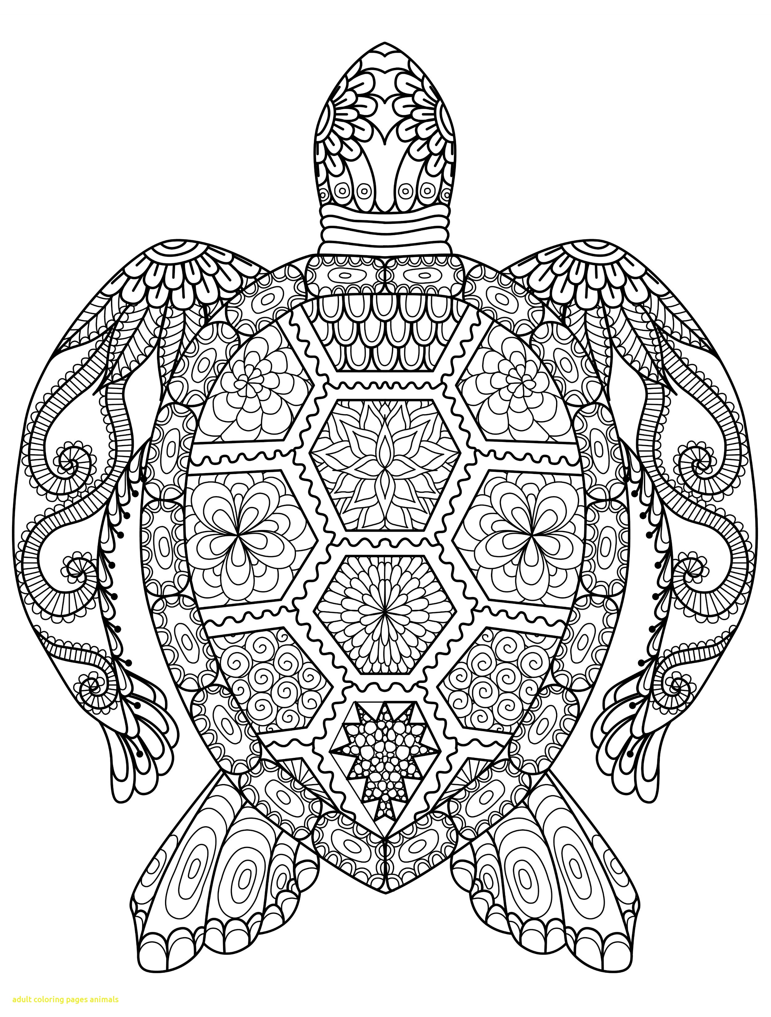 2500x3300 Animal Coloring Pages For Adults Adult Animals