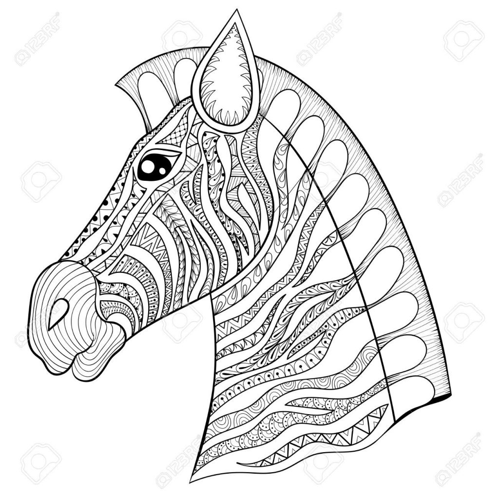 1024x1024 Zebra Head Coloring Pages Best Of Vector Zentangle Zebra Head
