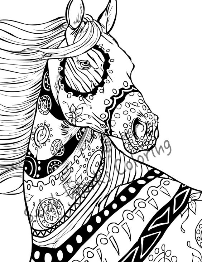 648x840 Zentangle Horse Adults Coloring Pages