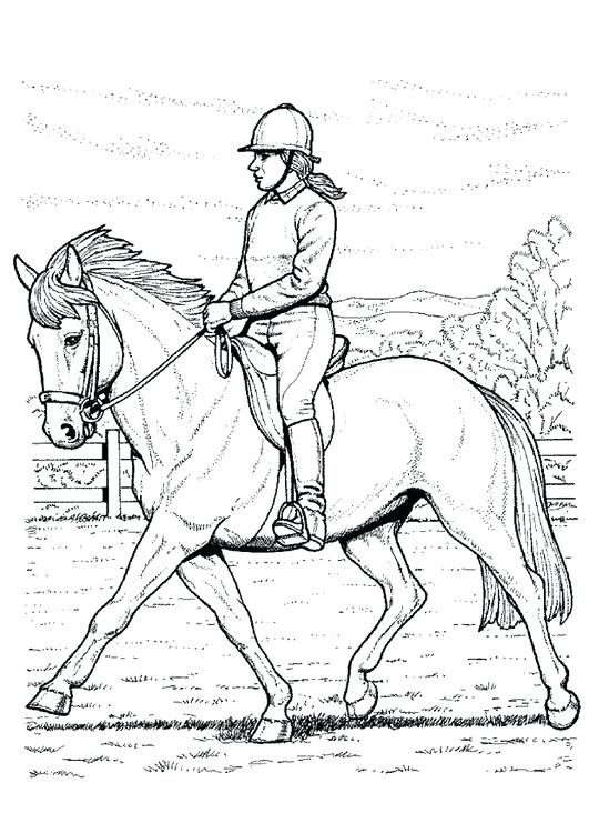 531x750 Horse Riding Coloring Sheets Printable Coloring Coloring Page