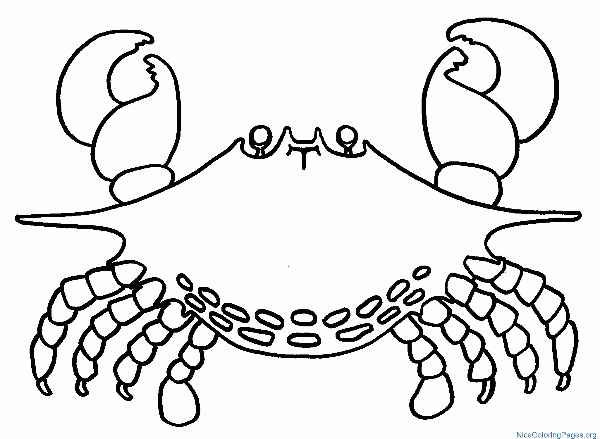 2051x1501 Best Of Horseshoe Coloring Pages New Horseshoe Crab Coloring Pages