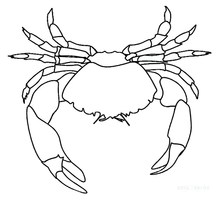 850x764 Printable Crab Coloring Pages For Kids Spider Crab Coloring Pages
