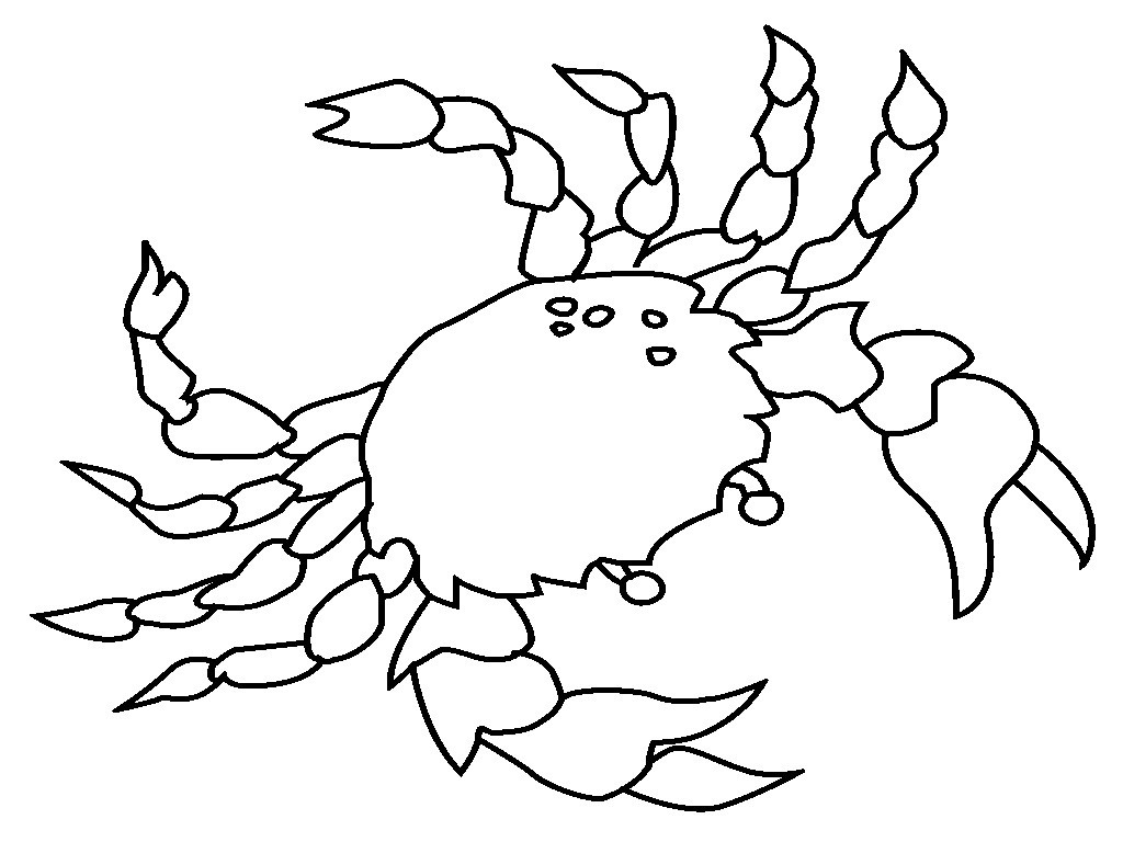 1024x768 Horseshoe Crab Coloring Pages Archives