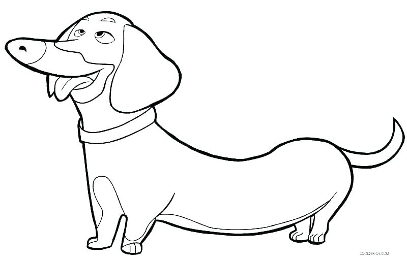 800x512 Free Coloring Pages Of Dogs Free Coloring Pages Dogs Coloring