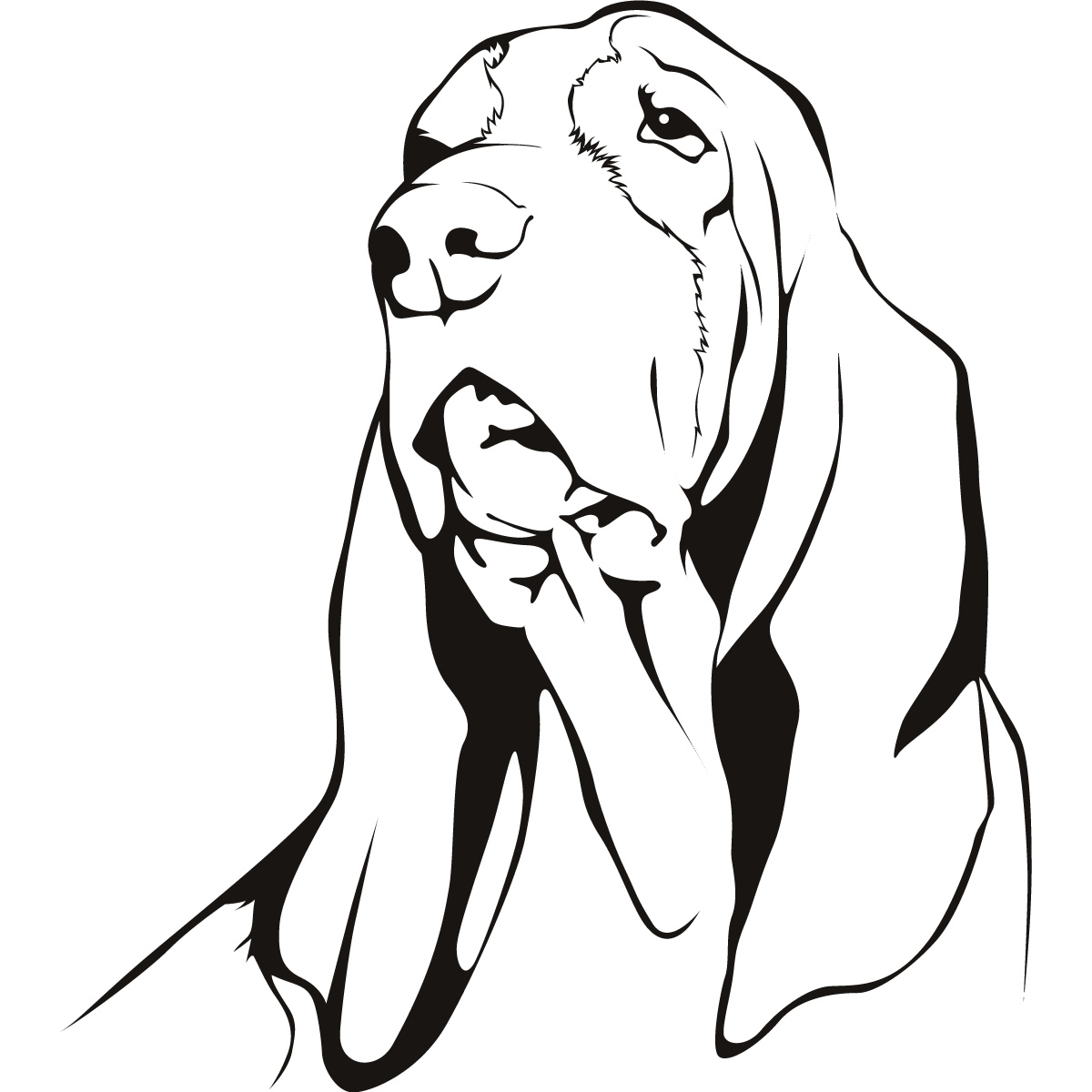 1200x1200 Best Of Basset Hound Coloring Page Gallery Printable Coloring Sheet