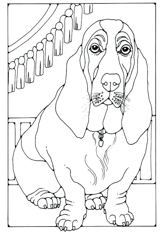 531x750 Dog Breed Coloring Pages Printable Basset Hound Images Books On B