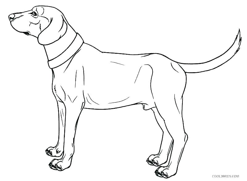 800x589 Free Dog Coloring Pages Free Hound Dog Coloring Pages