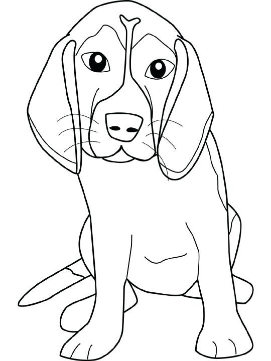 540x720 Royalty Free Coloring Pages Hound Dog Clip Art Vector Clip Art