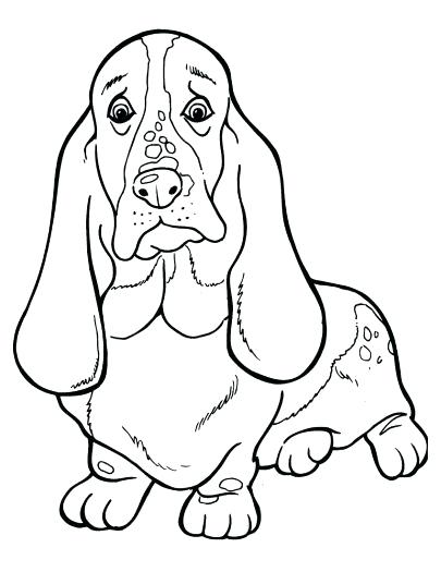 405x525 Basset Hound Coloring Pages