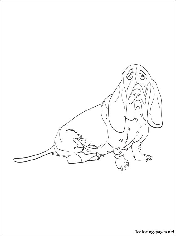 560x750 Basset Hound Coloring Page Coloring Pages