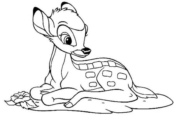 600x409 How To Draw Coloring Pages How To Draw Bambi Coloring Pages Bulk