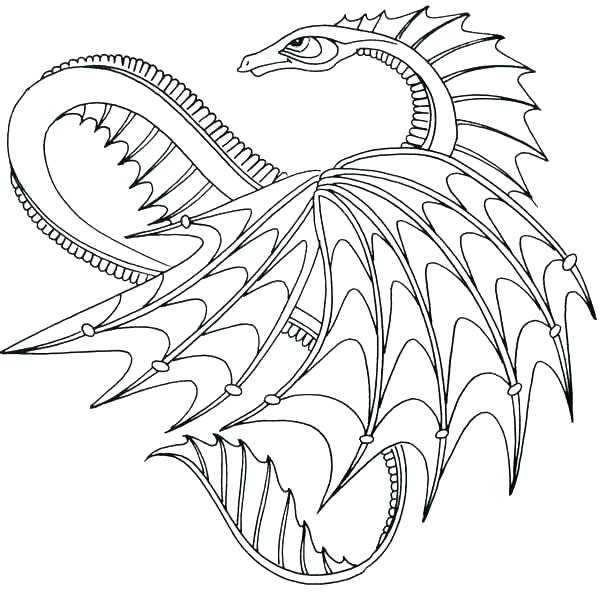 600x600 Coloring Pages Of Dragons Realistic Dragon Sketch Free Printable