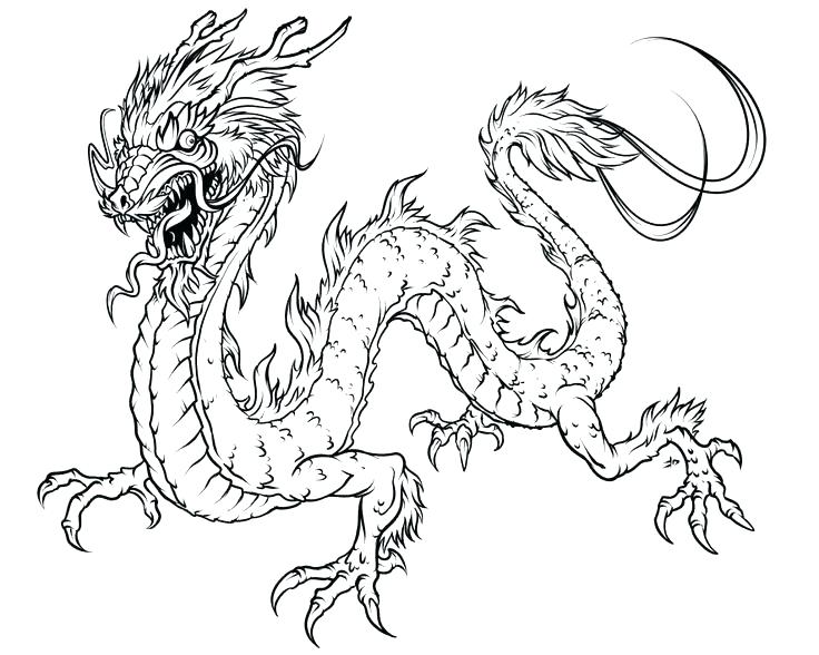 736x588 Dragon Coloring Book