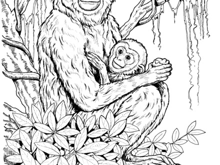 440x330 Free Haciendo Tareas Coloring Pages, Howler Monkey Coloring Page