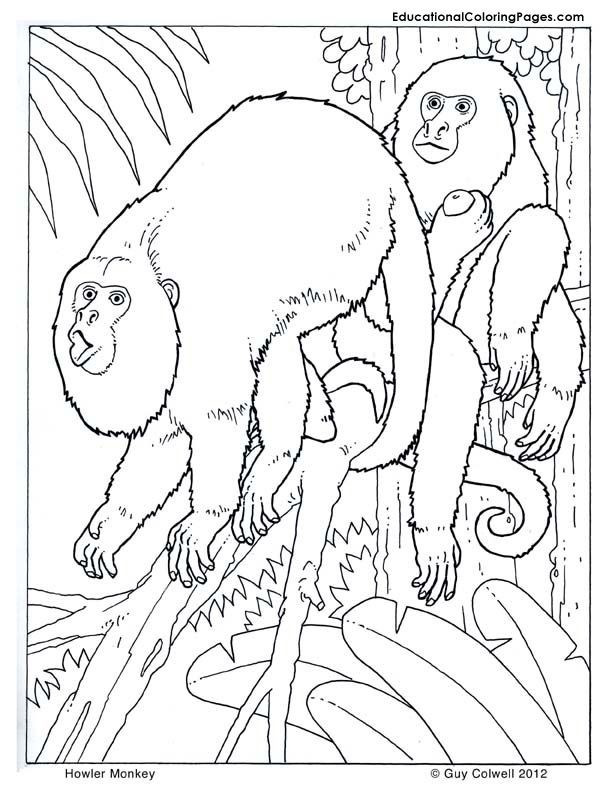 612x792 Howler Monkey Coloring Page Best Of Best Animal Coloring Books