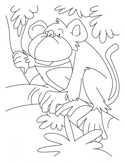420x543 Howler Monkey Coloring Pages Download Free Howler Monkey