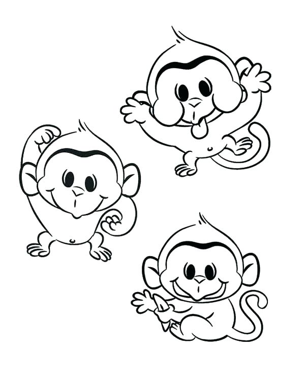 600x750 Monkey Pictures To Color Also Cheap Monkey Printable Coloring
