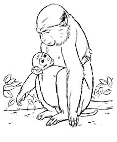 236x288 Red Howler Monkey Drawing And Coloring Page Drawing And Painting