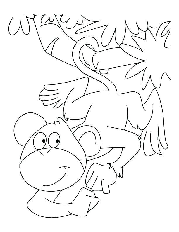 612x792 Spider Monkey Coloring Page Black Handed Spider Monkey Coloring