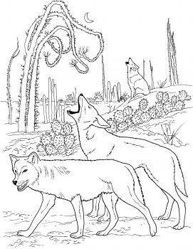 271x350 Coyotes Howling In Desert Coloring Pages Grade Science