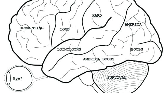 570x320 Free Anatomy Coloring Book Anatomy And Physiology Coloring Pages