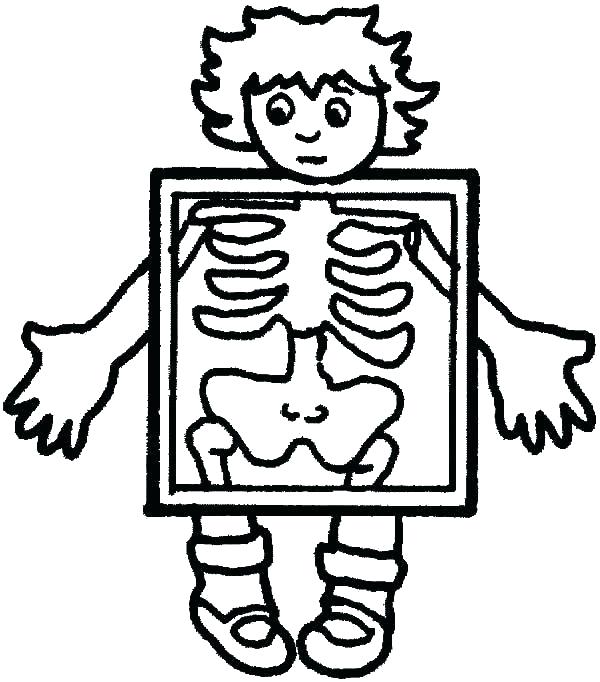 600x682 Body Coloring Pages Human Body Coloring Page Human Body Coloring