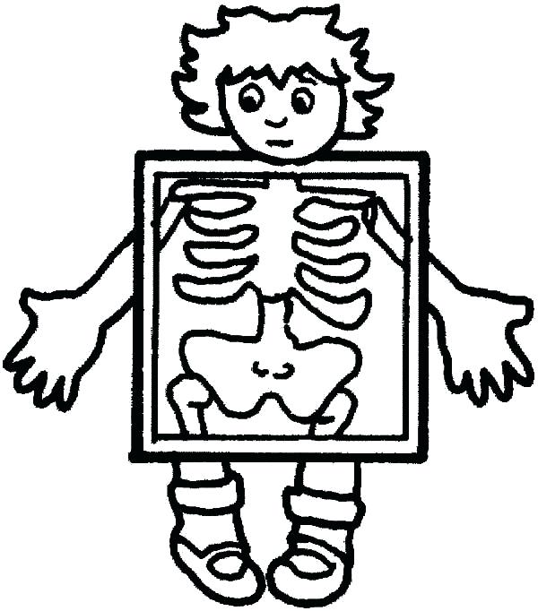 600x682 Coloring Human Body Coloring Pages Skeleton Page Free Printable