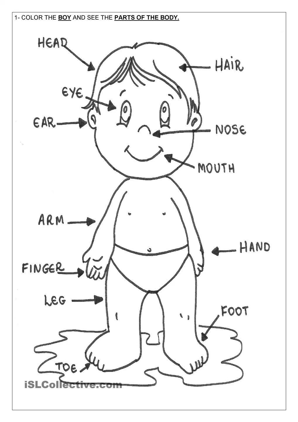 1018x1440 Body Parts Coloring Pages