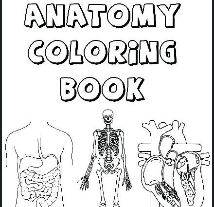 440x425 Human Body Systems Coloring Pages Body Coloring Pages Body
