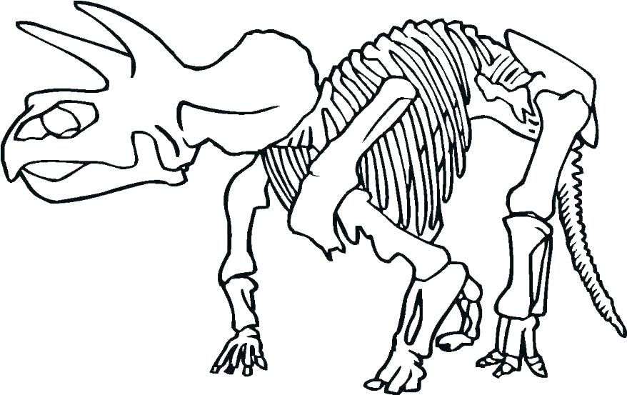 878x553 Human Skeleton Colouring Pages Coloring Sheet Bone Page Dinosaur