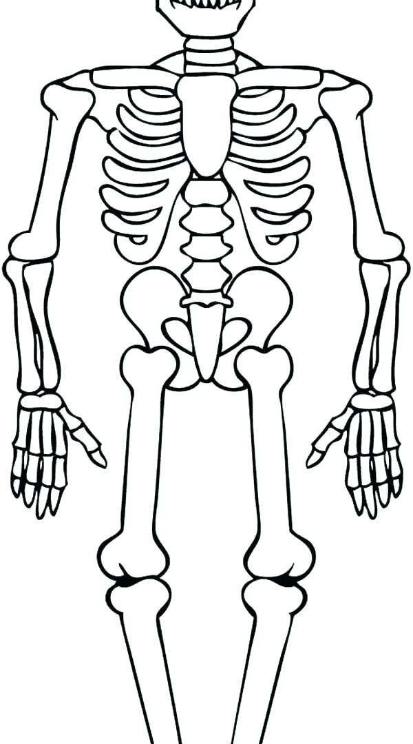 600x1080 Skeleton Coloring Page Mummy And His Friend Skeleton Funny