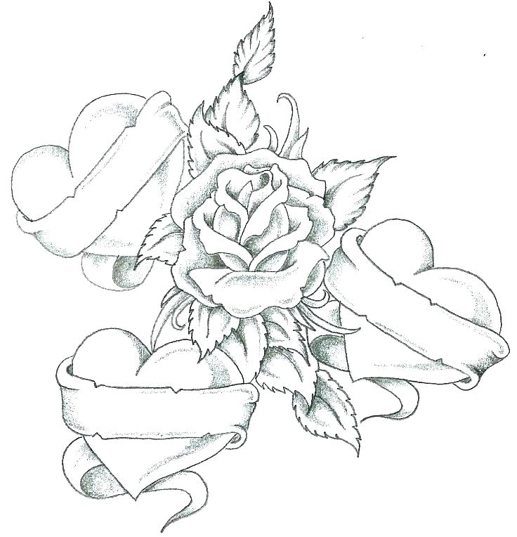 736x764 Coloring Pages Hearts Hearts Coloring Page Heart Anatomy Coloring