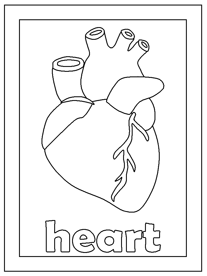 718x957 Human Heart Coloring Pages Selection Free Coloring Pages