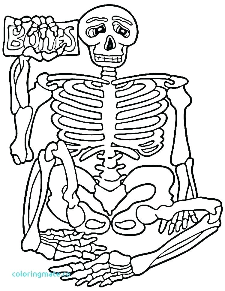 750x970 Human Body Coloring Book
