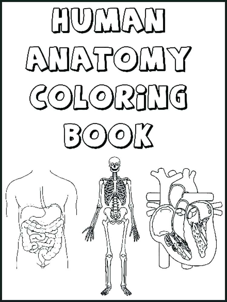 750x1000 Elegant Human Anatomy Coloring Pages Free Coloring Pages