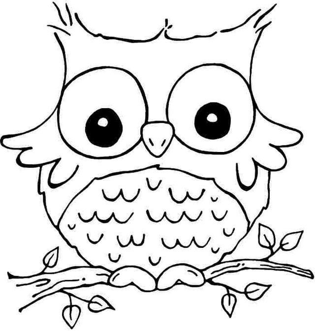 640x675 Elegant Human Eye Coloring Page Animal Eyes Drawing