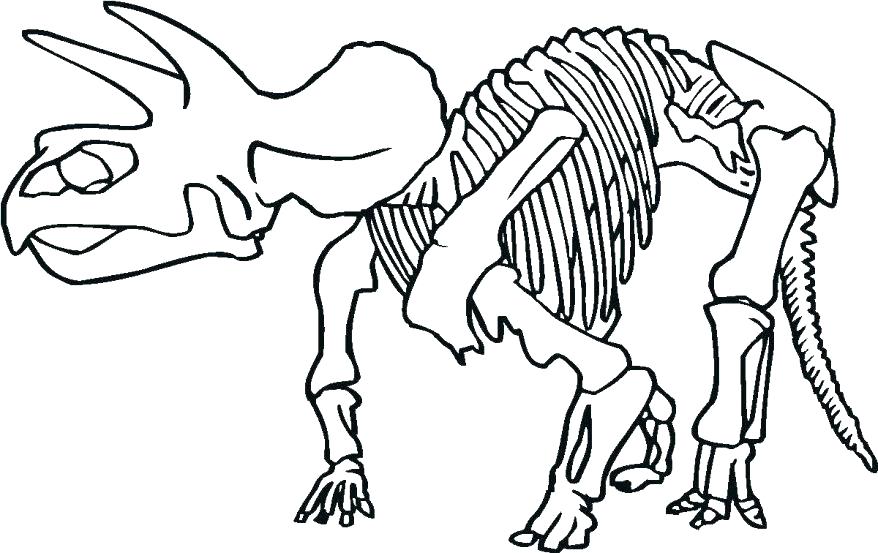 878x553 Skeleton Coloring Sheet Human Skeleton Coloring Page Dinosaur