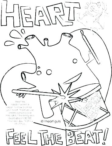 368x480 Human Heart Coloring Pages Printable