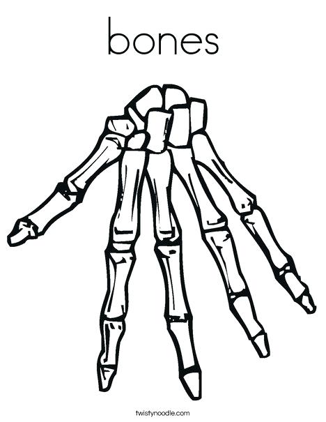 468x605 Human Skeleton Coloring Page Bones Coloring Page Human Body